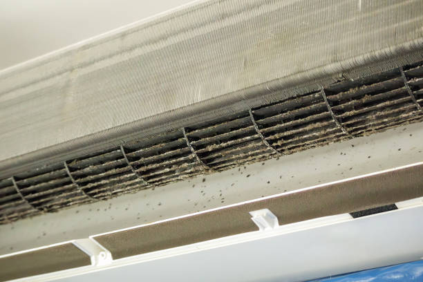 Best Ventilation Cleaning Services  in Patchogue, NY